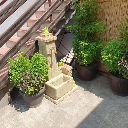 Apartman Djokic 2 Požarevac Dış mekan fotoğraf