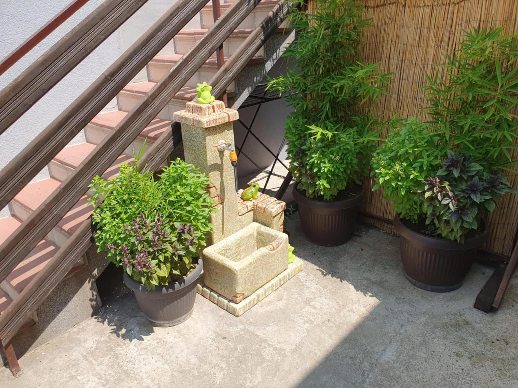 Apartman Djokic 2 Požarevac Dış mekan fotoğraf